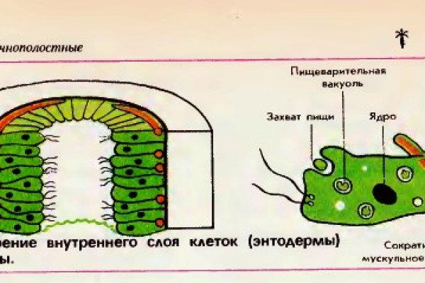 Гидра сайт в тор браузере ссылка