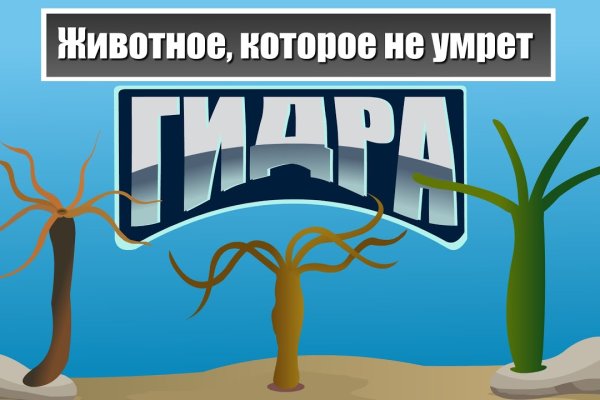 Кракен маркет даркнет слушать