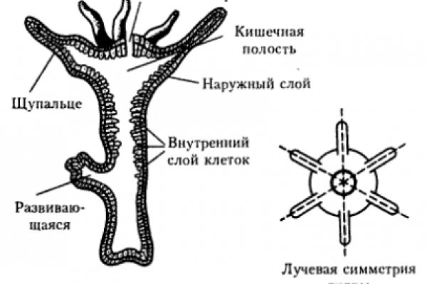 Кракен сайт нарк