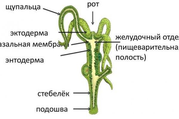 Кракен дарксайд