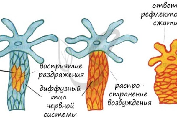 Кракен маркетплейс